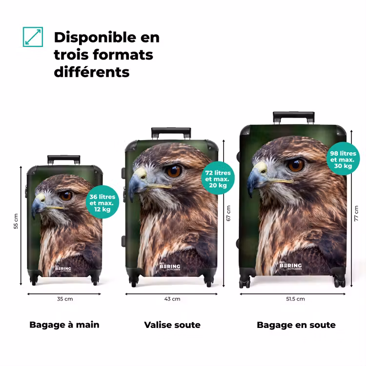 Valise - Buse - Rapace - Nature - Marron — 3