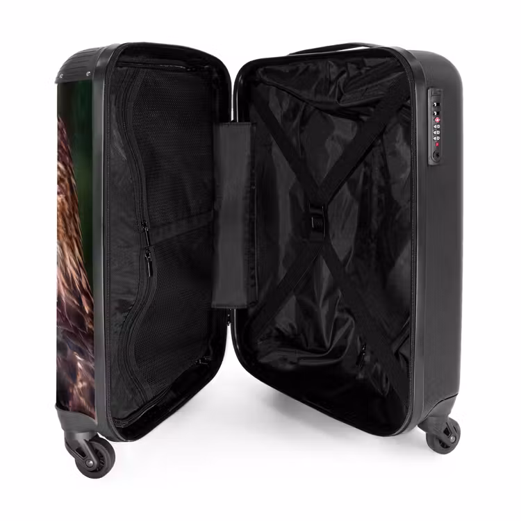 Valise - Buse - Rapace - Nature - Marron — 5