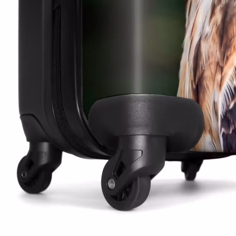Valise - Buse - Rapace - Nature - Marron — 7