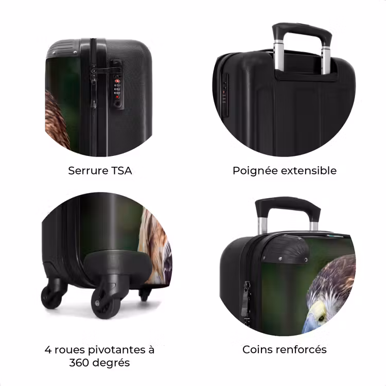 Valise - Buse - Rapace - Nature - Marron — 8