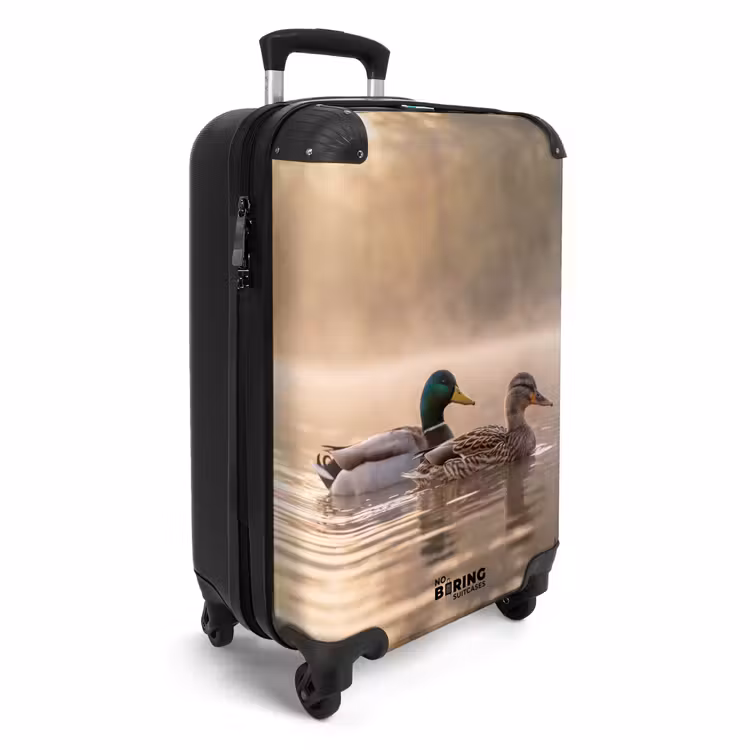 Valise - Canards - Eau - Brume - Nature — 2