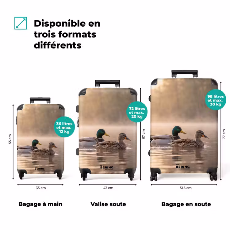 Valise - Canards - Eau - Brume - Nature — 3