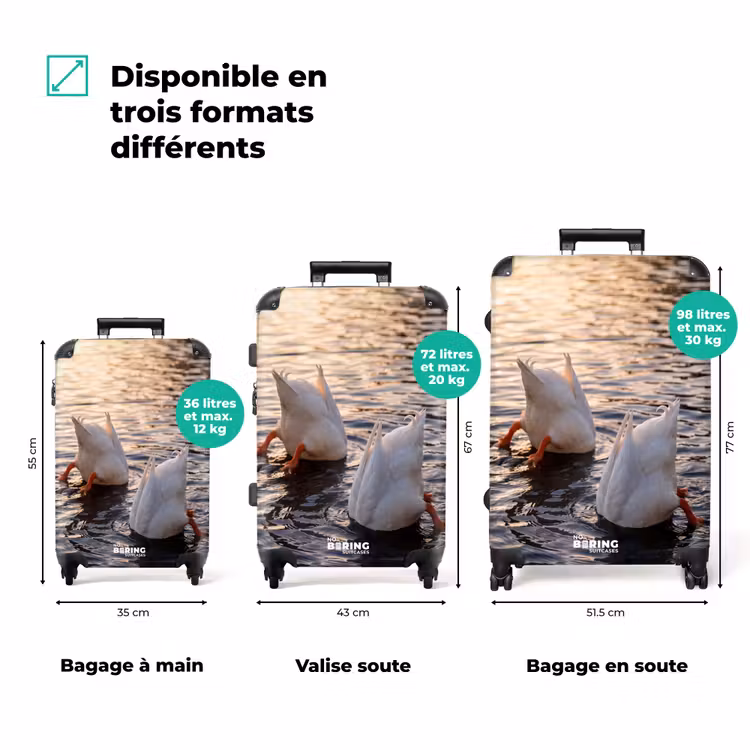 Valise - Canards - Eau - Nature — 3