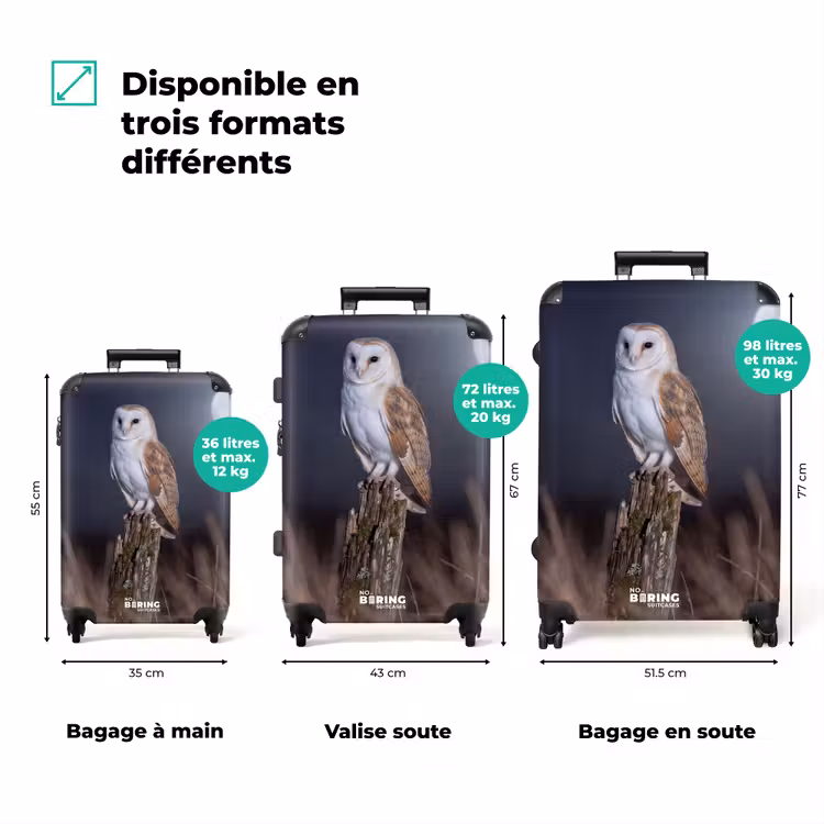 Valise - Chouette effraie - Lune - Nuit — 3