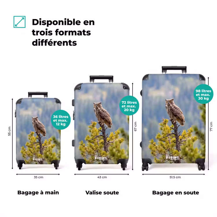 Valise - Chouette - Grand-duc - Arbres - Nature — 3
