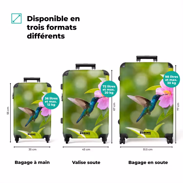 Valise - Colibri - Fleur - Nature - Vert — 3