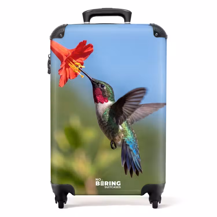 Valise - Colibri - Fleur - Nature - Vert — 1