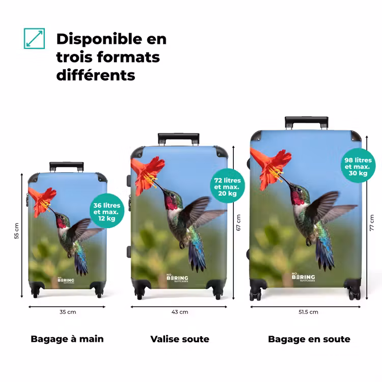 Valise - Colibri - Fleur - Nature - Vert — 3