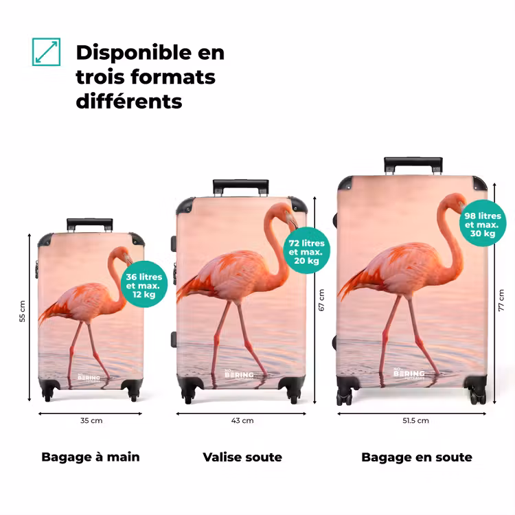 Valise - Flamant rose - Eau - Rose — 3