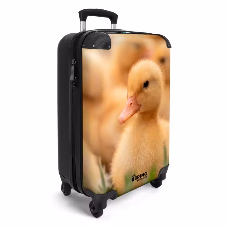 Valise - Flèche - Canard - Nature - Jaune — 2