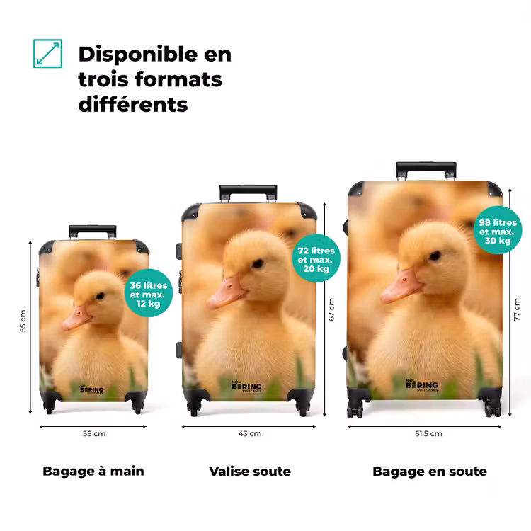 Valise - Flèche - Canard - Nature - Jaune — 3