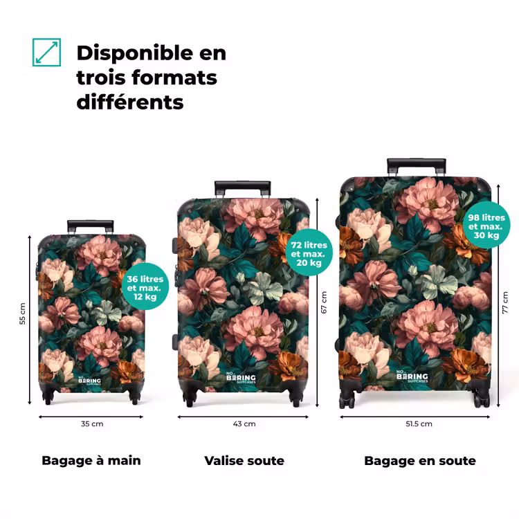 Valise - Fleurs - Pittoresque - Motif - Rose — 1