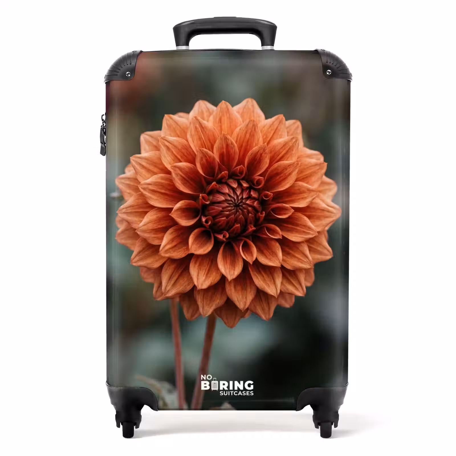 Valise - Dahlia - Fleur - Nature - Chaleureux — 1
