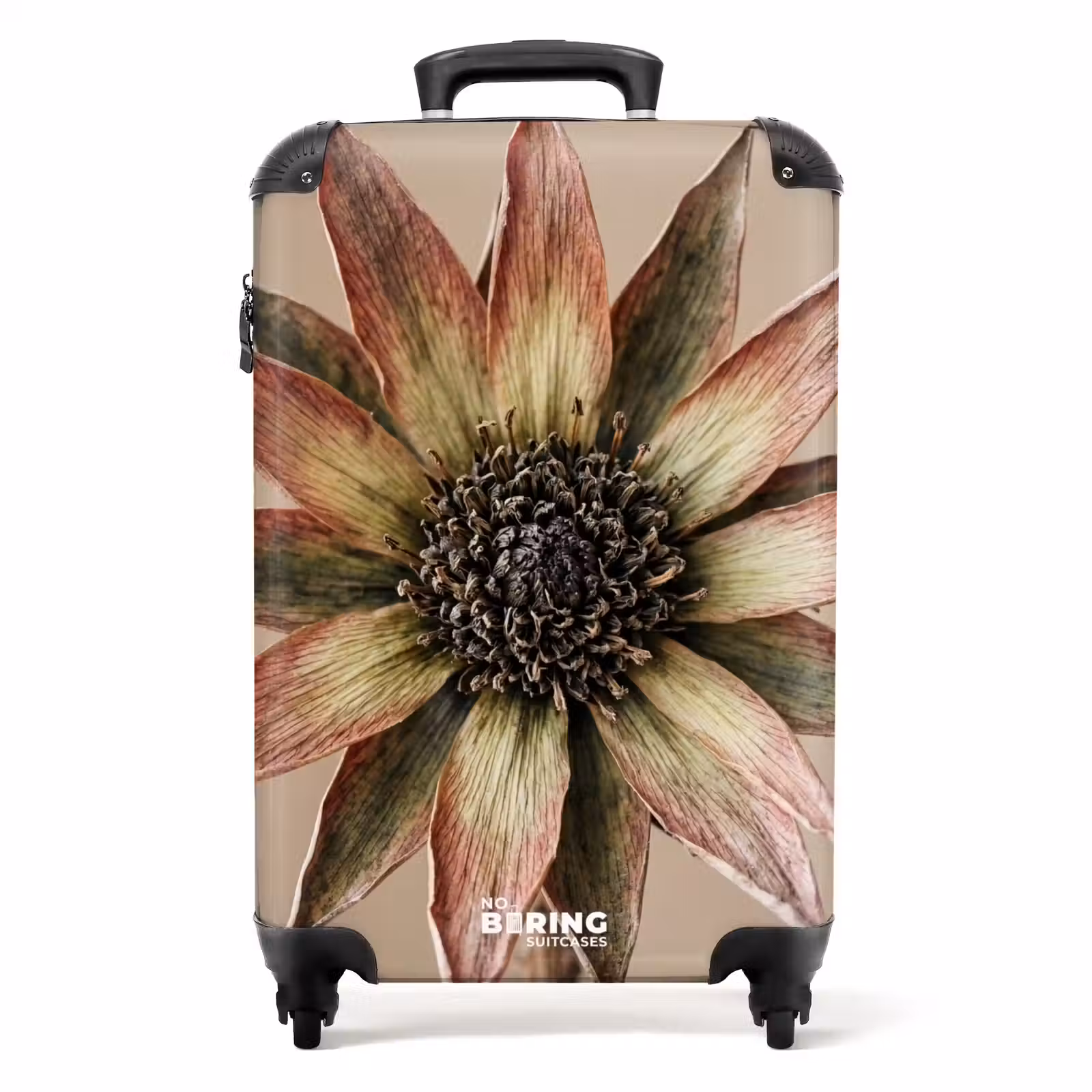 Valise - Fleur séchée - Protea - Vintage - Beige - Rustique — 1