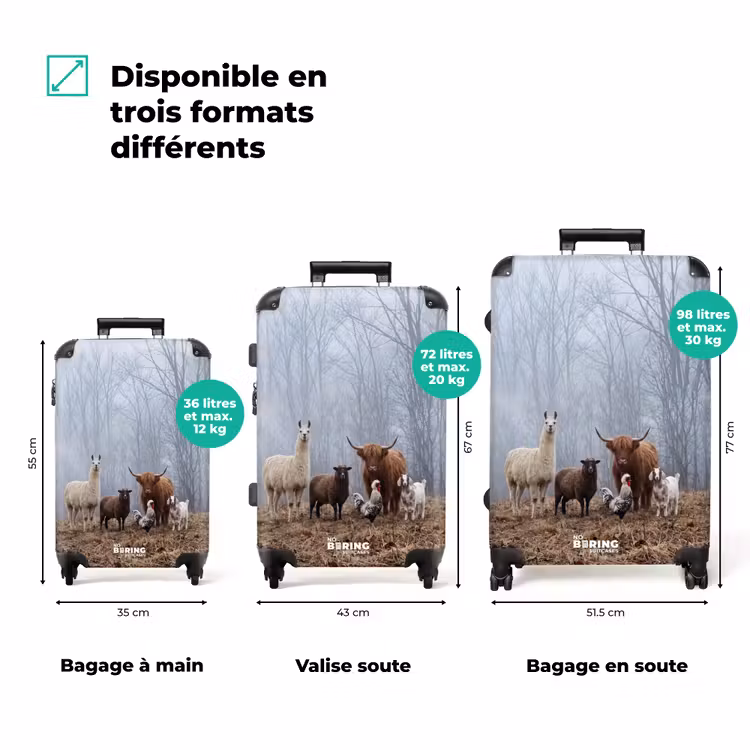 Valise - Animaux de la ferme - Groupe - Brouillard - Nature - Rustique — 3