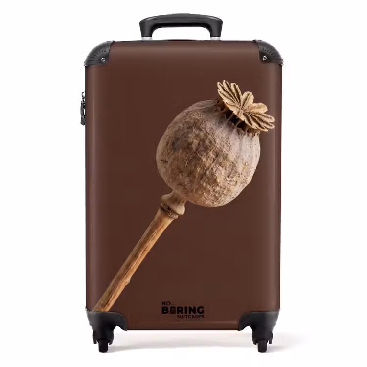 Valise - Boule de pavot - Fleur séchée - Marron - Minimaliste — 1
