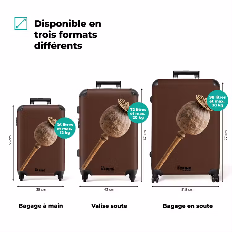 Valise - Boule de pavot - Fleur séchée - Marron - Minimaliste — 3