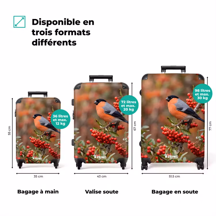 Valise - Bouvreuil - Baies - Automne - Nature - Coloré — 3