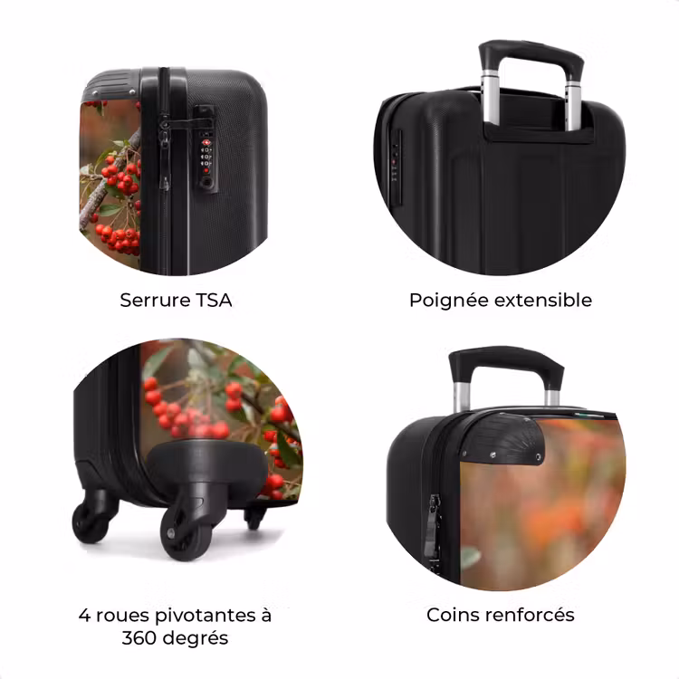 Valise - Bouvreuil - Baies - Automne - Nature - Coloré — 8