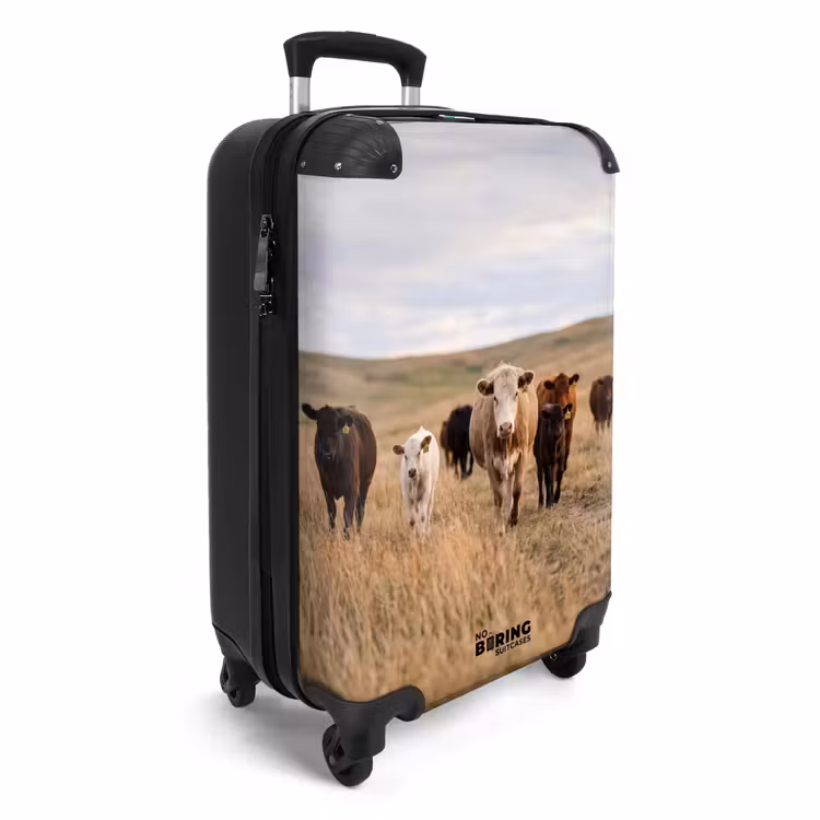 Valise - Bovins - Troupeau - Paysage - Prairie - Calme — 2
