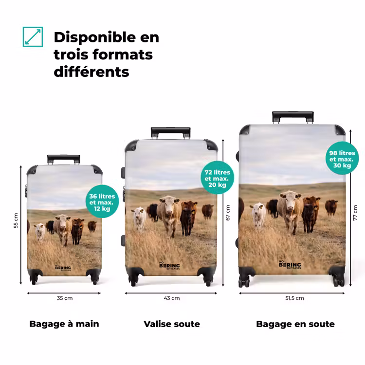 Valise - Bovins - Troupeau - Paysage - Prairie - Calme — 3