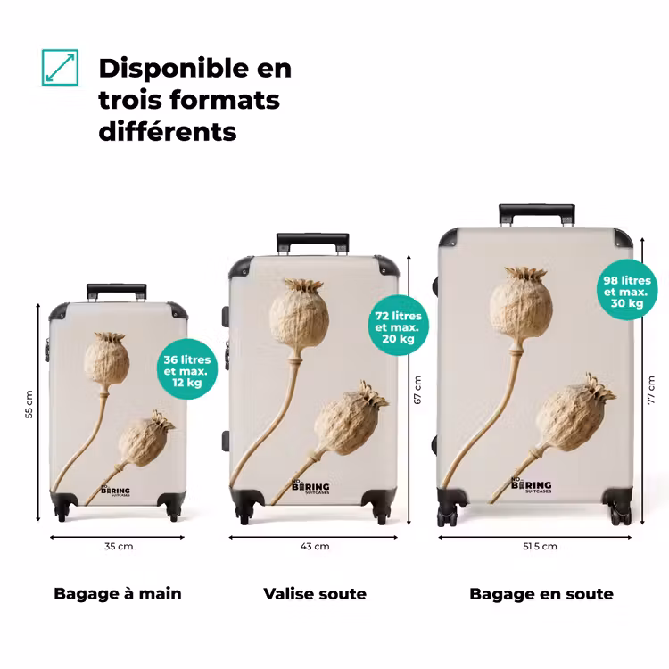Valise - Bulbes de pavot - Fleurs séchées - Minimaliste - Beige - Apaisant — 3
