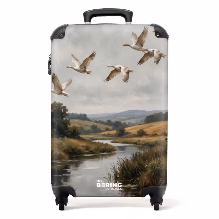 Valise - Canards - Rivière - Paysage - Vol - Nostalgie — 1