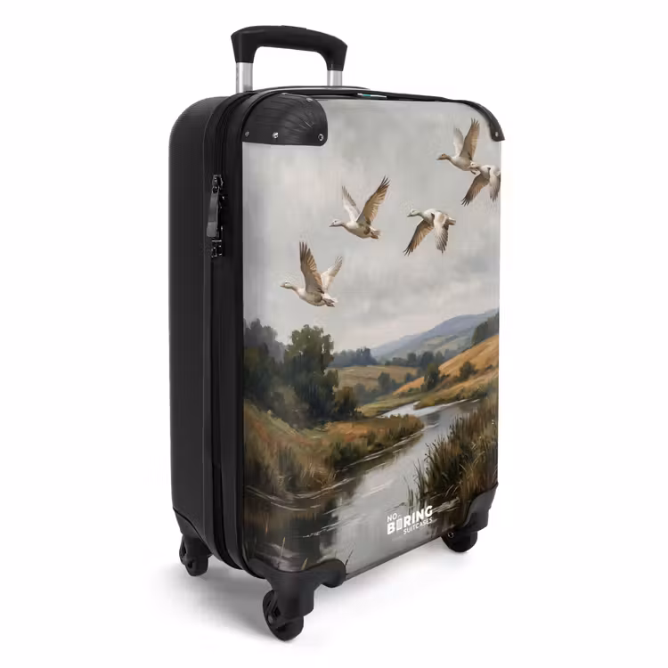 Valise - Canards - Rivière - Paysage - Vol - Nostalgie — 2