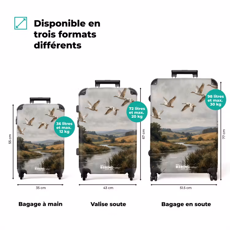 Valise - Canards - Rivière - Paysage - Vol - Nostalgie — 3