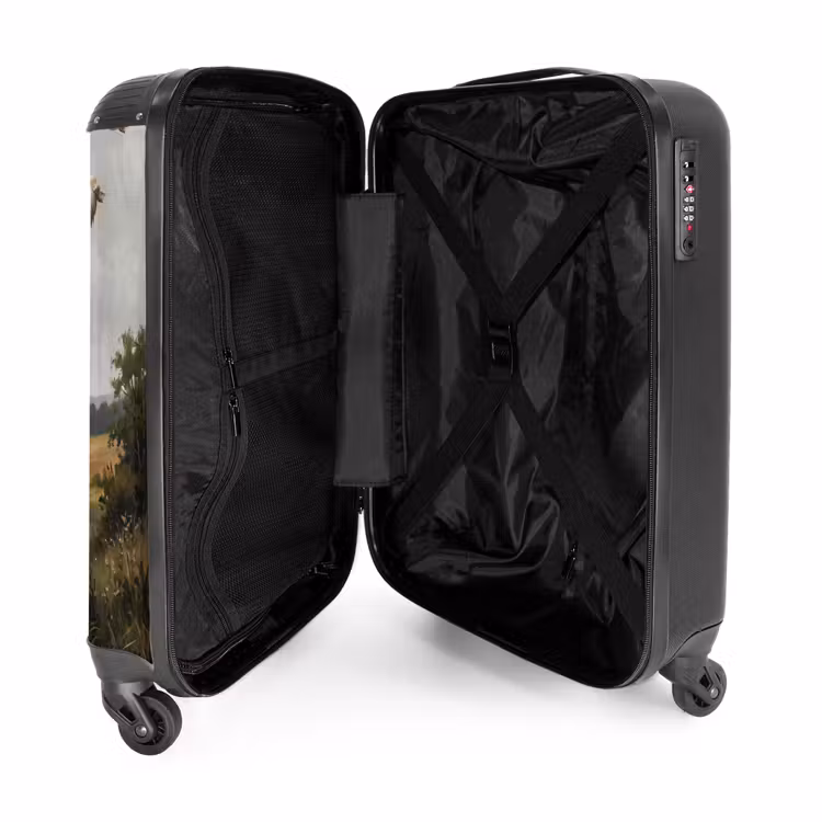 Valise - Canards - Rivière - Paysage - Vol - Nostalgie — 5