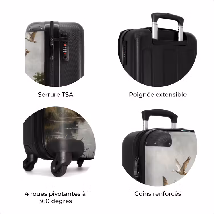 Valise - Canards - Rivière - Paysage - Vol - Nostalgie — 8