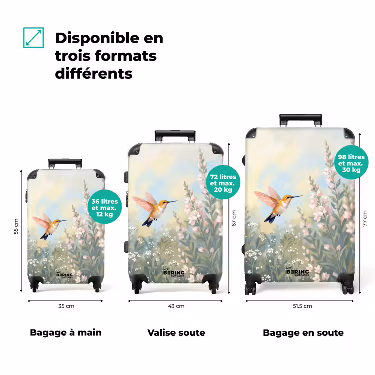 Valise - Colibri - Illustration - Coloré — 1