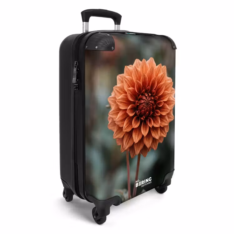 Valise - Dahlia - Fleur - Nature - Chaleureux — 2