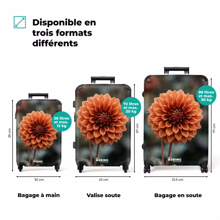 Valise - Dahlia - Fleur - Nature - Chaleureux — 3