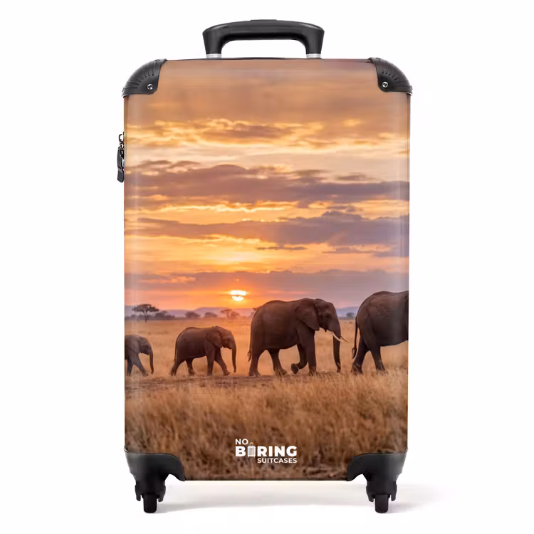 Valise - Éléphants - Savane - Coucher de soleil - Afrique - Chaleur — 1