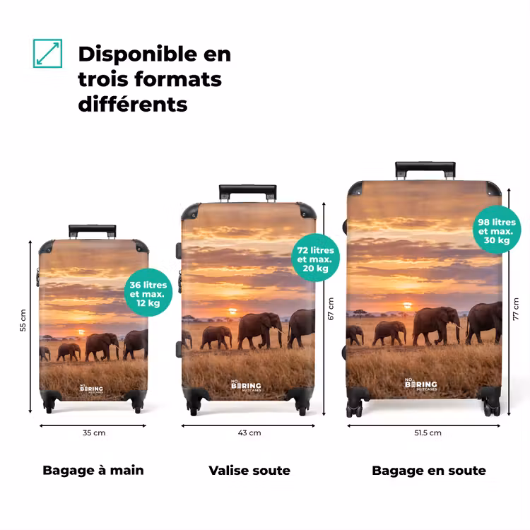 Valise - Éléphants - Savane - Coucher de soleil - Afrique - Chaleur — 3