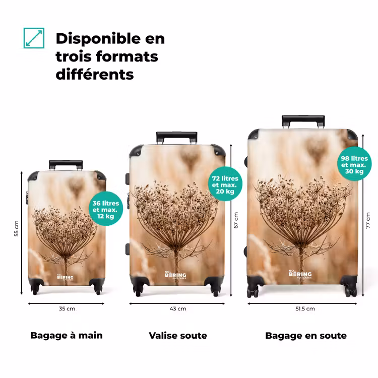 Valise - Fleur d'écran - Fleur séchée - Hiver - Beige - Minimaliste — 3