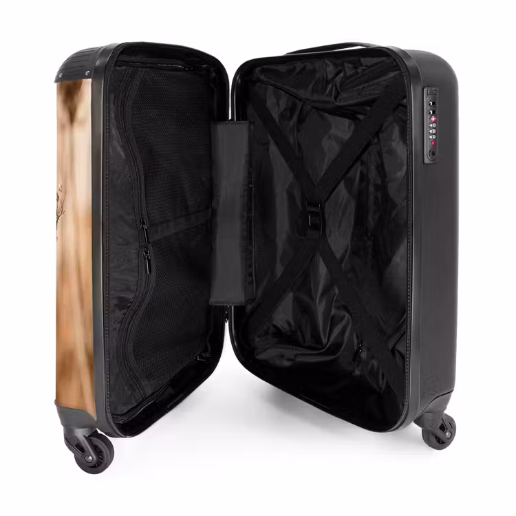 Valise - Fleur d'écran - Fleur séchée - Hiver - Beige - Minimaliste — 5