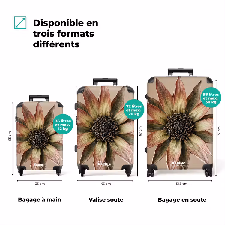 Valise - Fleur séchée - Protea - Vintage - Beige - Rustique — 3