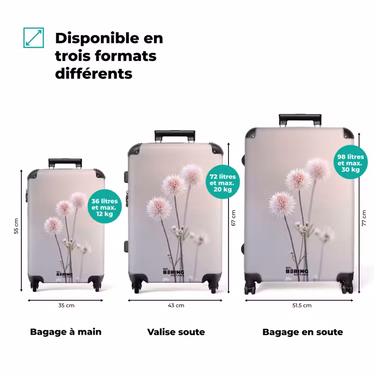 Valise - Fleurs - Bulbes - Rose — 1