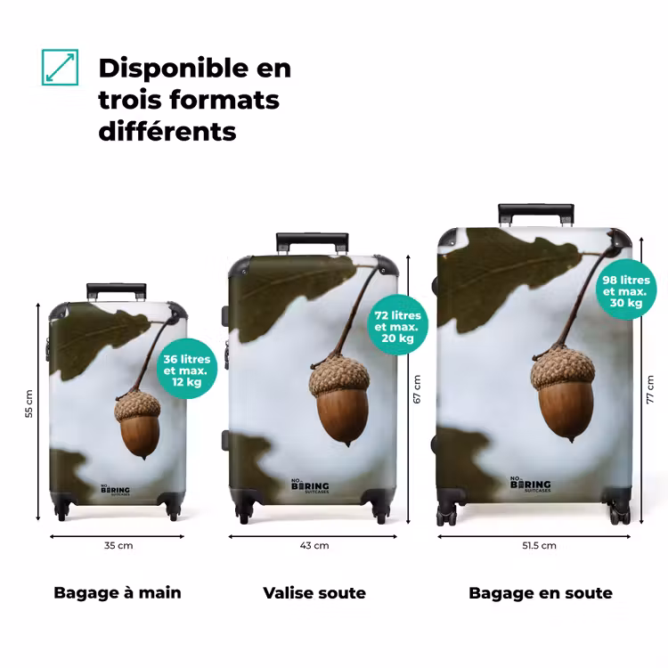 Valise - Gland - Feuille de chêne - Forêt - Automne - Nature — 3