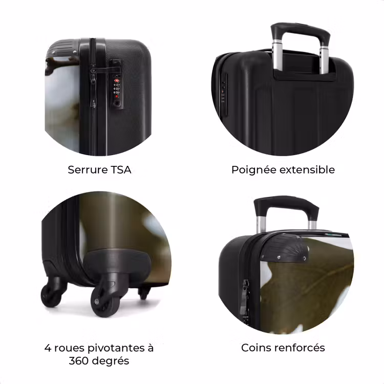 Valise - Gland - Feuille de chêne - Forêt - Automne - Nature — 8