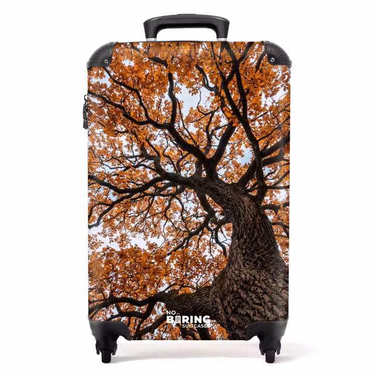 Valise - Arbre - Feuillage - Automne - Orange - Chaleureux — 1