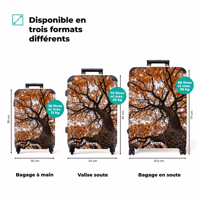 Valise - Arbre - Feuillage - Automne - Orange - Chaleureux — 3