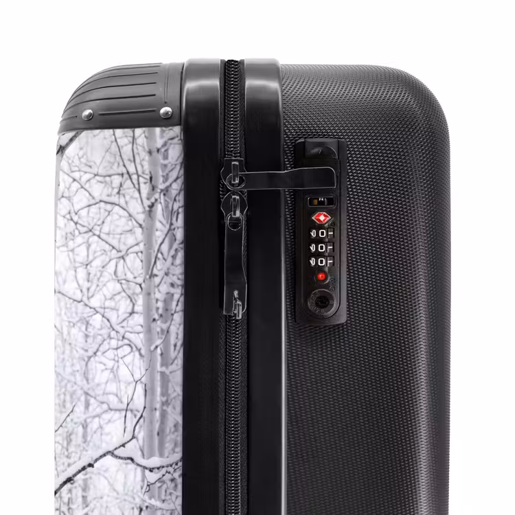 Valise - Bouleaux - Neige - Hiver - Forêt - Blanc — 6