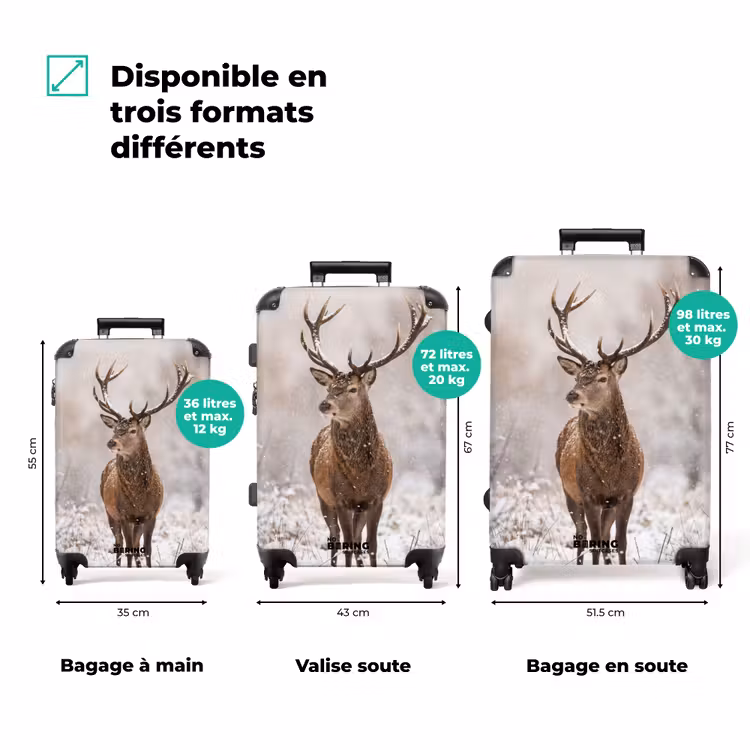 Valise - Cerf élaphe - Forêt - Neige - Hiver - Majestueux — 3