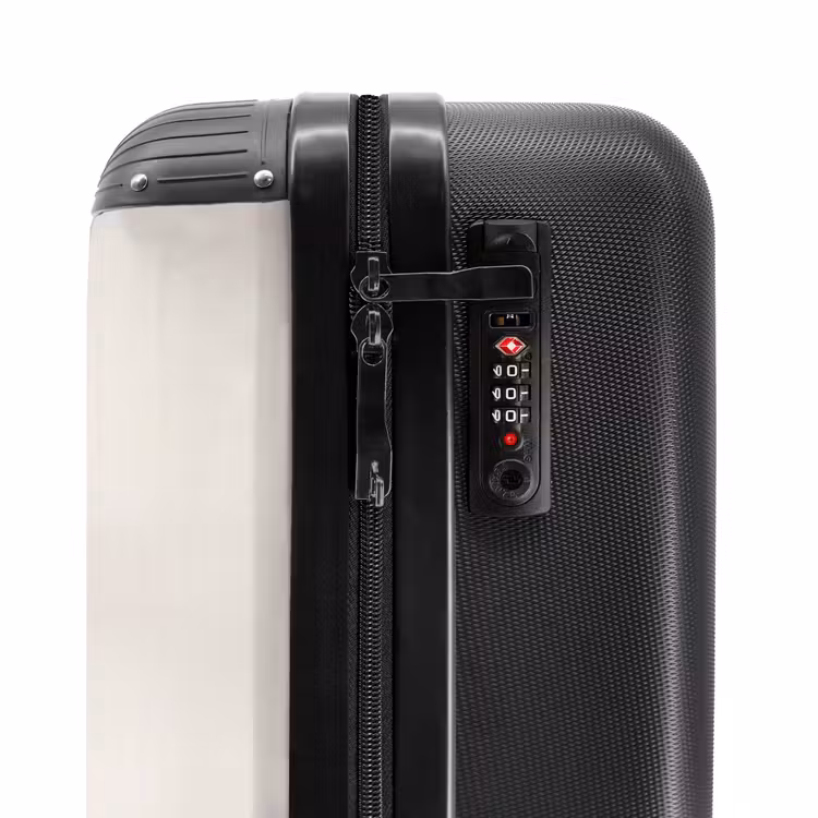 Valise - Chouette des neiges - Poteau - Hiver - Portrait - Majestueux — 6