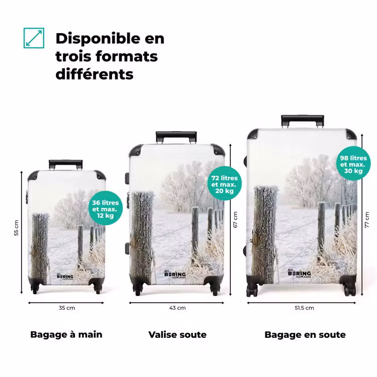 Valise - Clôture - Neige - Brouillard - Campagne - Nostalgie — 3