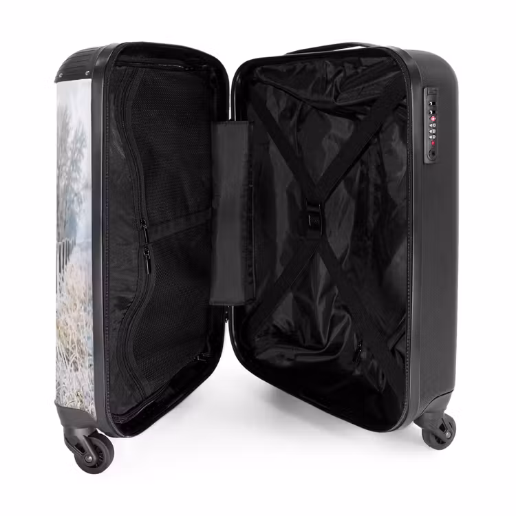 Valise - Clôture - Neige - Brouillard - Campagne - Nostalgie — 5