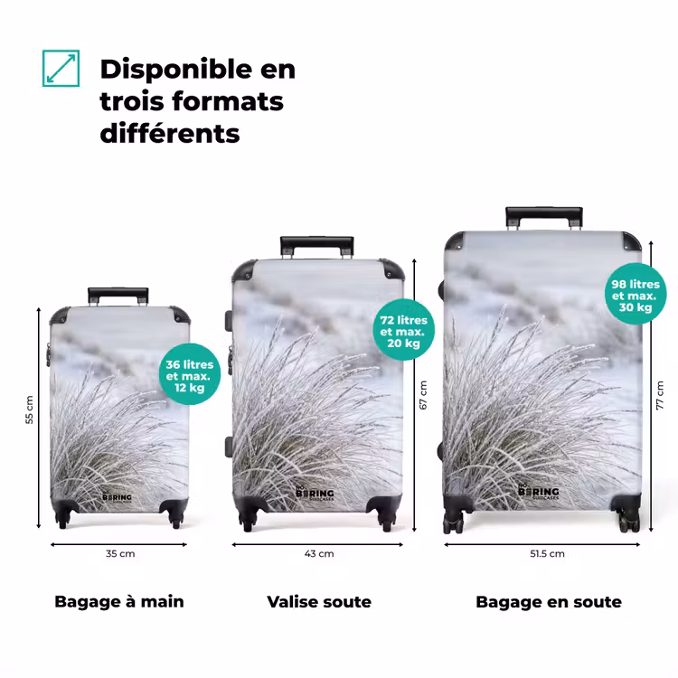 Valise - Dunes - Neige - Plage - Hiver - Sérénité — 3